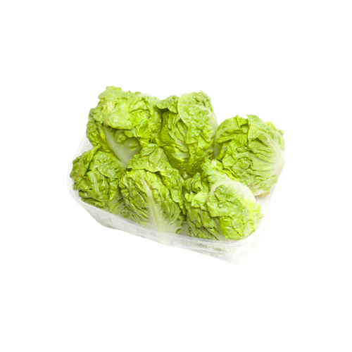 ALFACE COCOLHO (emb. 500g)