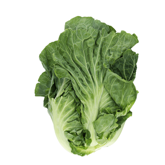 COUVE PORTUGUESA (KG)