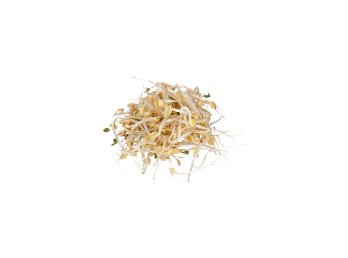 REBENTOS DE SOJA (emb. 200g)