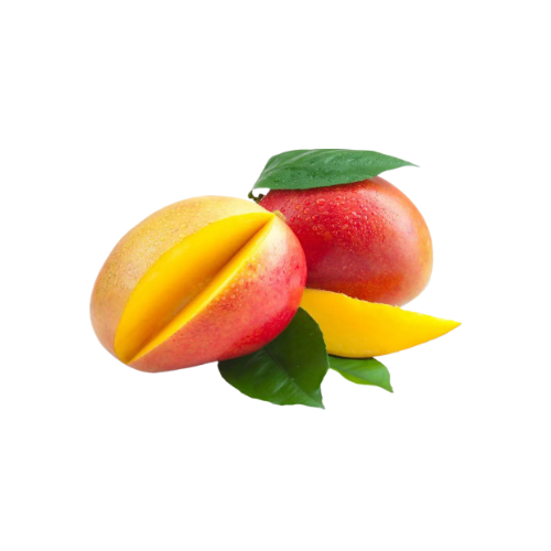 MANGA PALMER AVIÃO (1un)