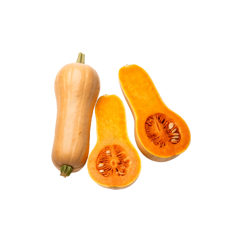 ABÓBORA MANTEIGA (1un)