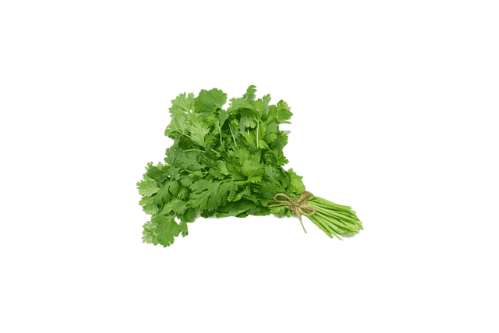 COENTROS (emb. 100g)