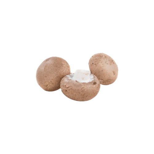 COGUMELO MARRON (500g)