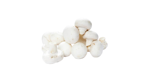 COGUMELO PARIS (500g)