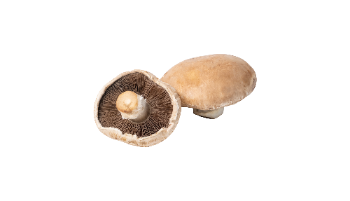 COGUMELO PORTOBELLO (500g)
