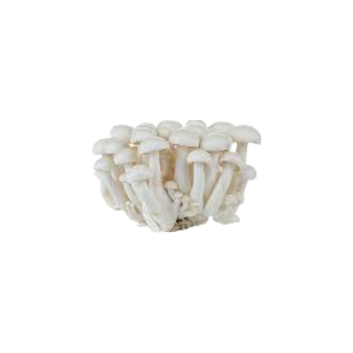 COGUMELO SHIMEJI (emb. 150g)