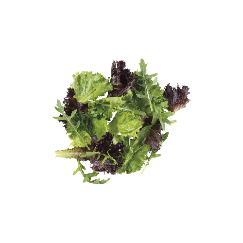 SALADA IBÉRICA HUERTICO (emb. 100g)